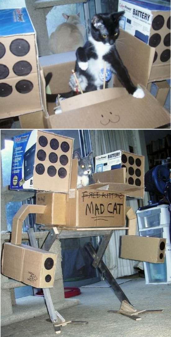 Robo Cat