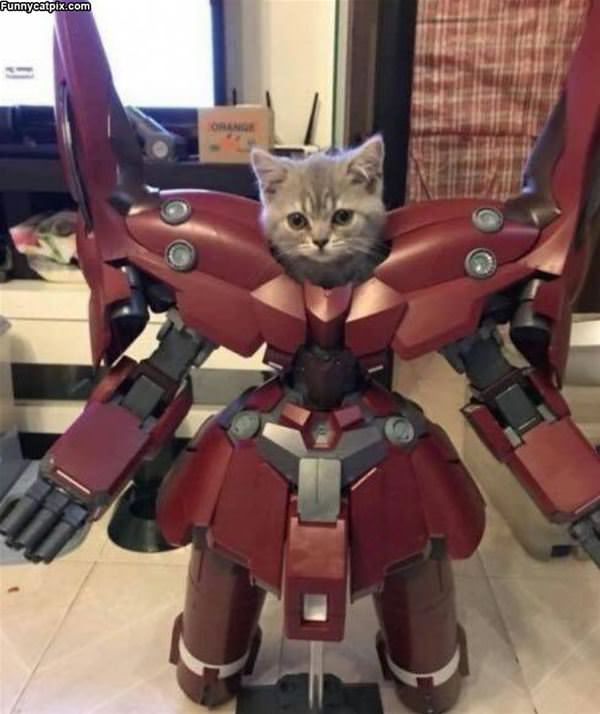 Robo Cat