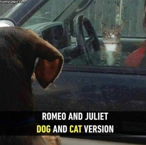 Romeo And Juliet