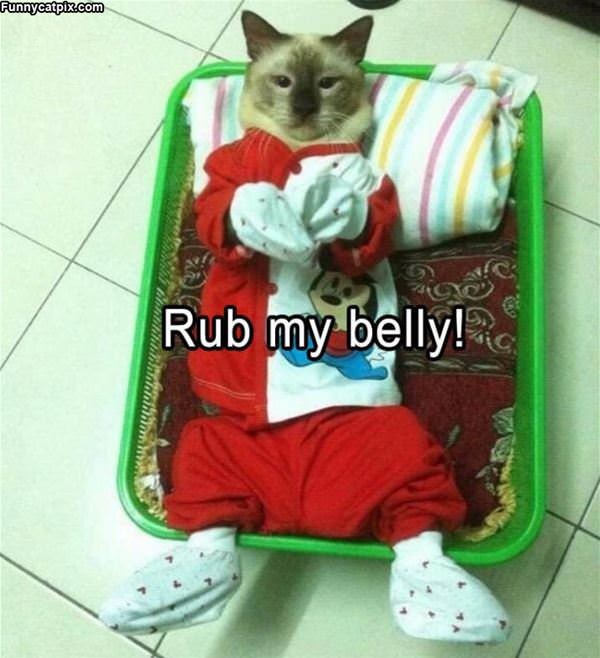 Rub My Belly