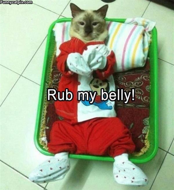 Rub My Belly