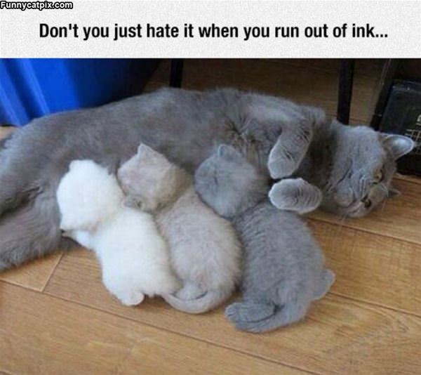 Run Out Of Ink