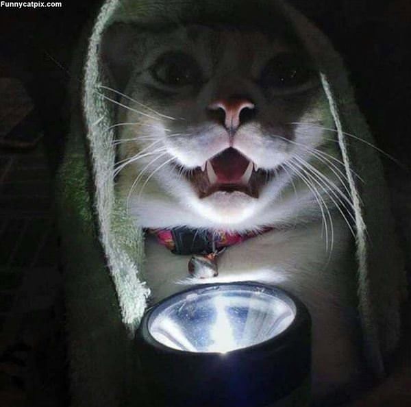 Scary Story Time