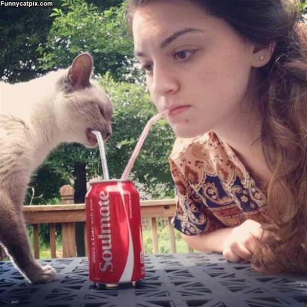 Sharing A Coke