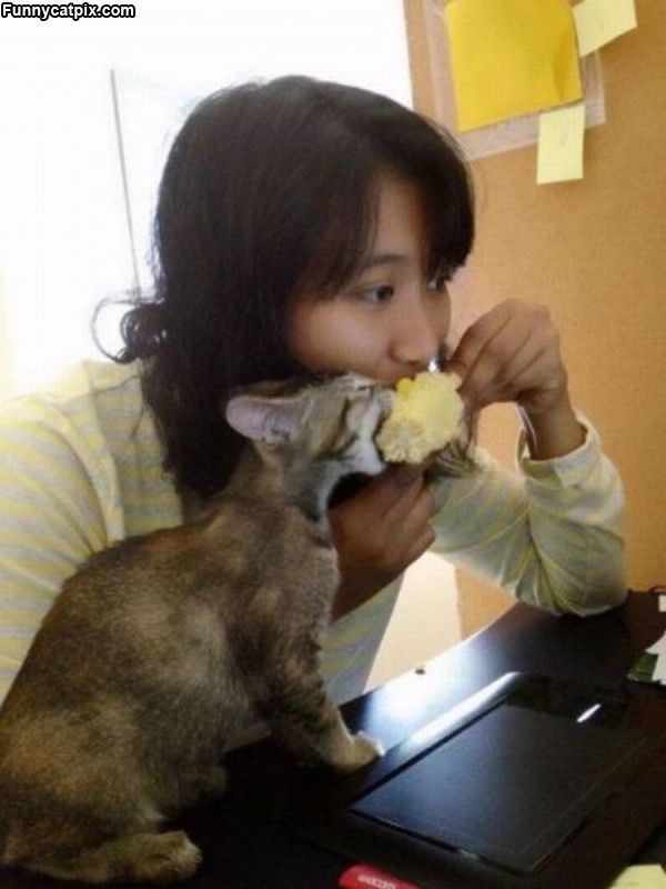 Sharing Some Corn