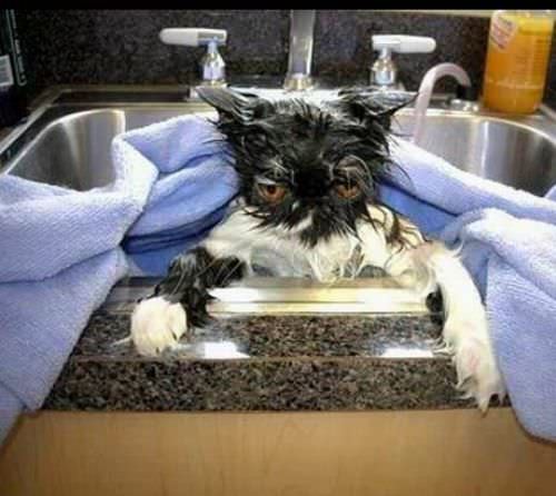 Sink Bath