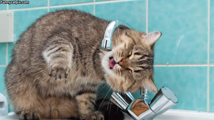 Sink Time