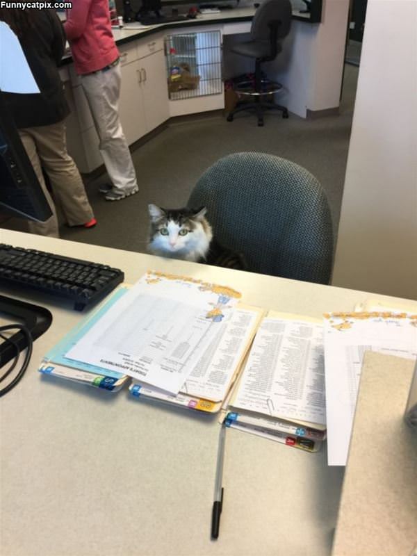 Sitting At The Desk