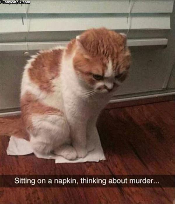 Sitting On A Napkin