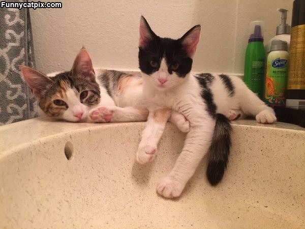 Sitting On The Sink