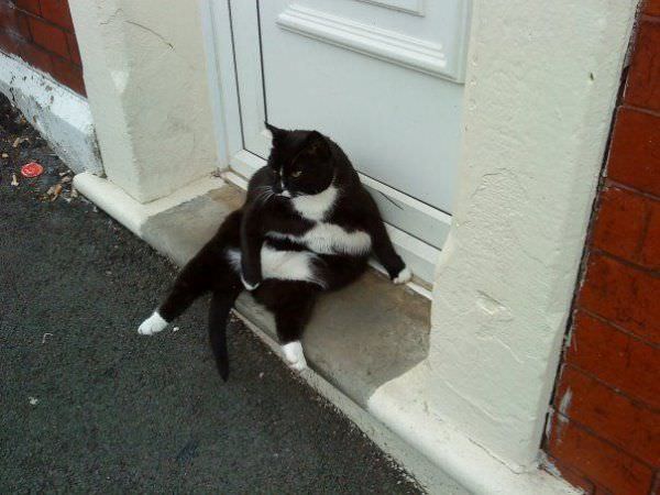 Sitting On The Step