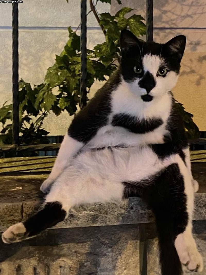 Sitting Up