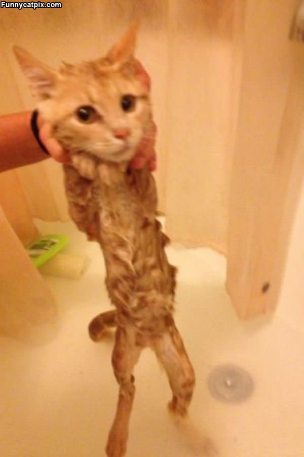 Skinny After A Bath
