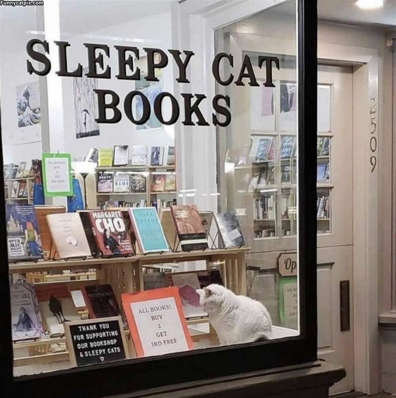 Sleepy Cat Books