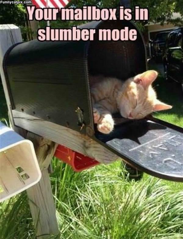 Slumber Mode Mailbox