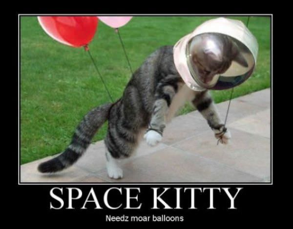 Space Kitty