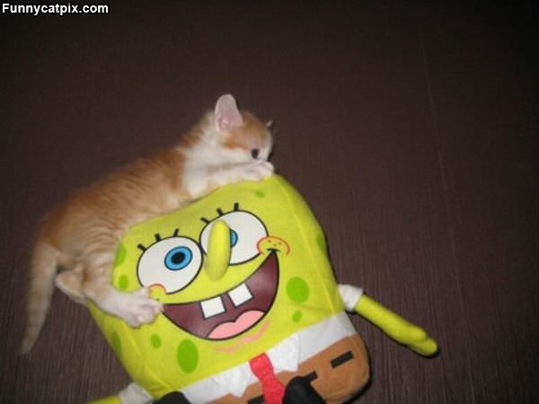 Spongebob Kitty Attack