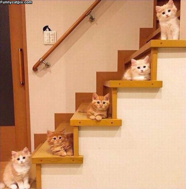 Stairs Full