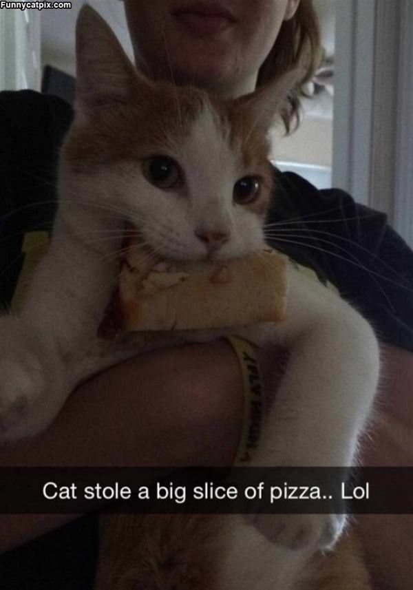 Stole A Slice