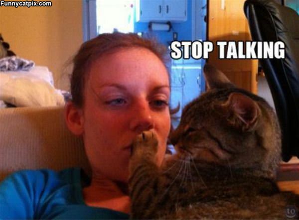 Stop Talking