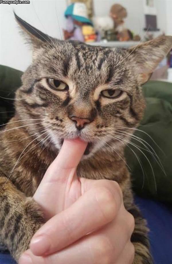 Sucking Your Thumb