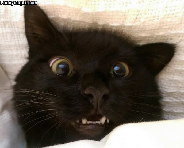 Super Extreme Closeup Shot