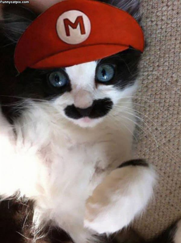 Super Mario Cat