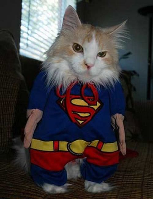 Supercat