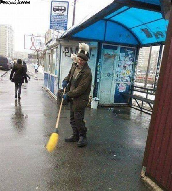 Sweep Faster Human