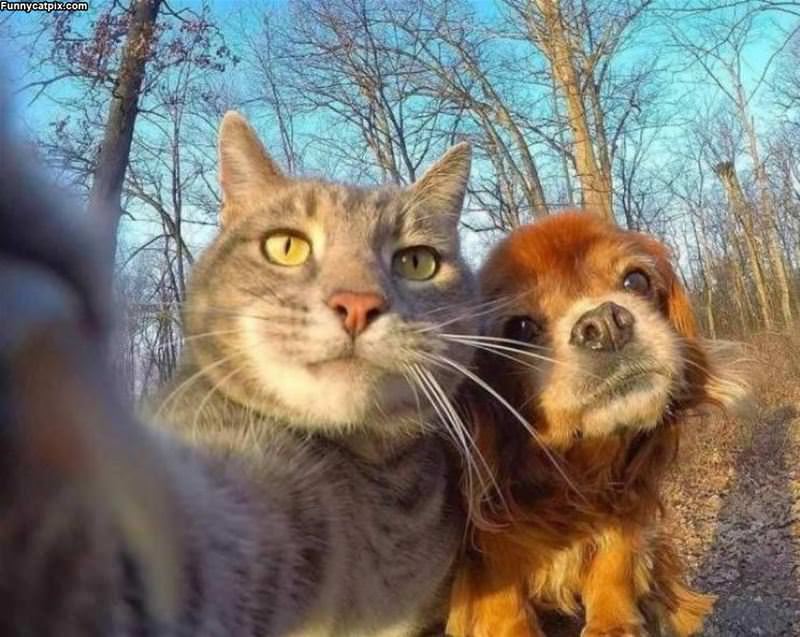 Taking A Selfie