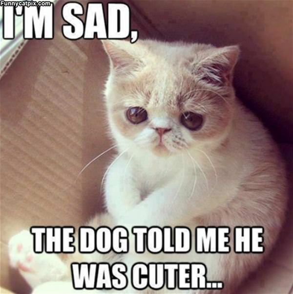 That Makes Me So Sad