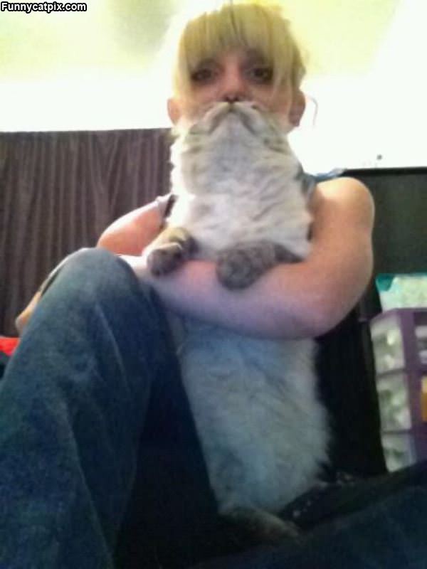 The Cat Beard