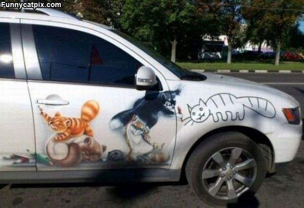 The Cat Car