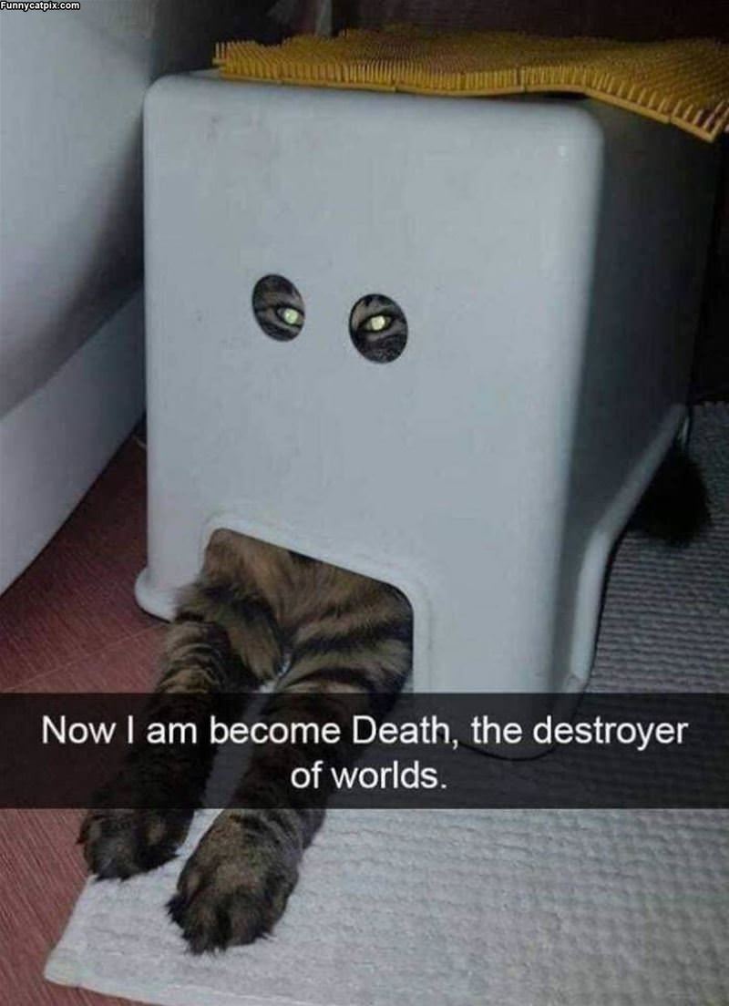 The Destroyer