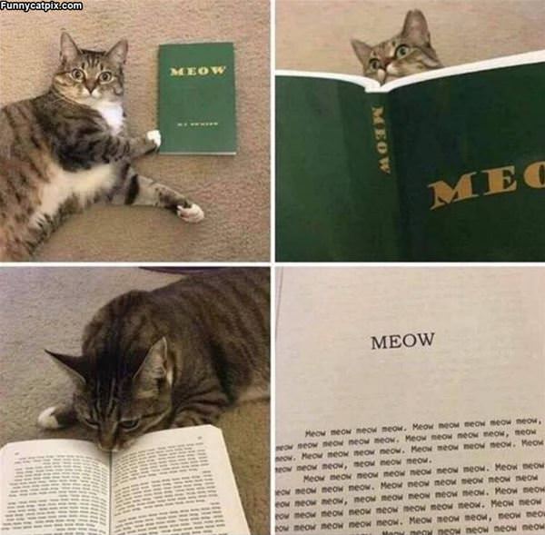 The Meow Book