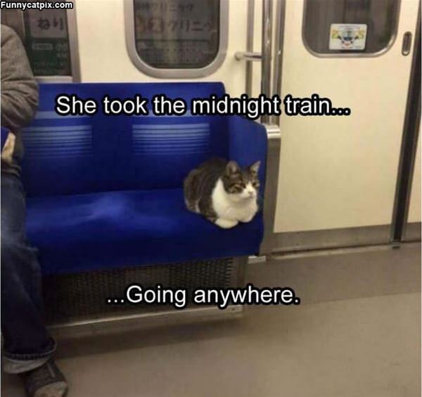 The Midnight Train