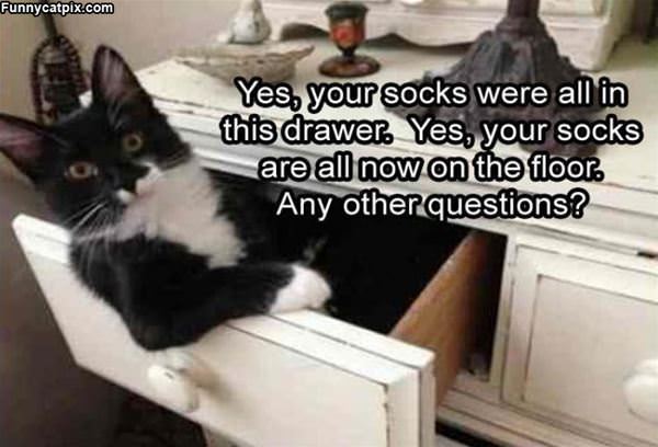 The Sock Drawer