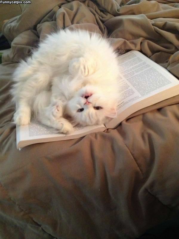 this book is so boring