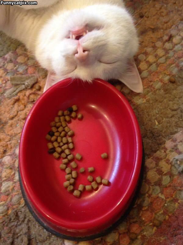 This Food Makes Me Sleepy