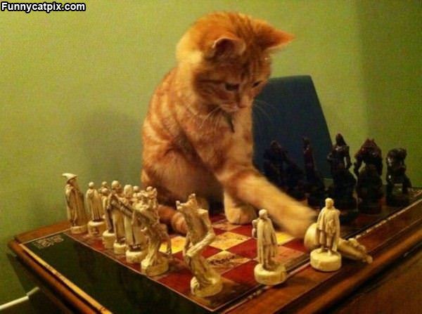 This Game Sucks
