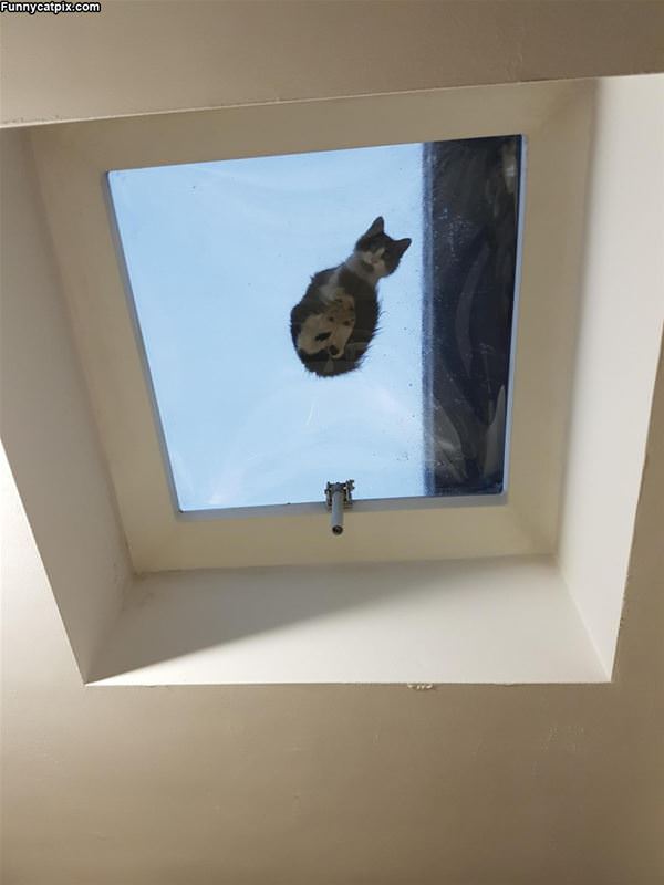 This Is My Spot Now