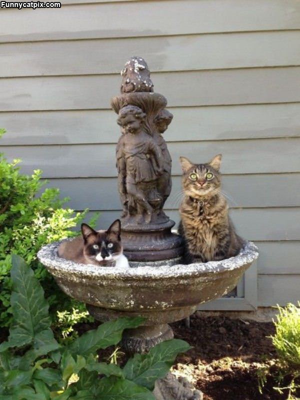 This Is Our Fountain