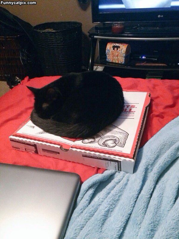 This Pizza Box Is Great