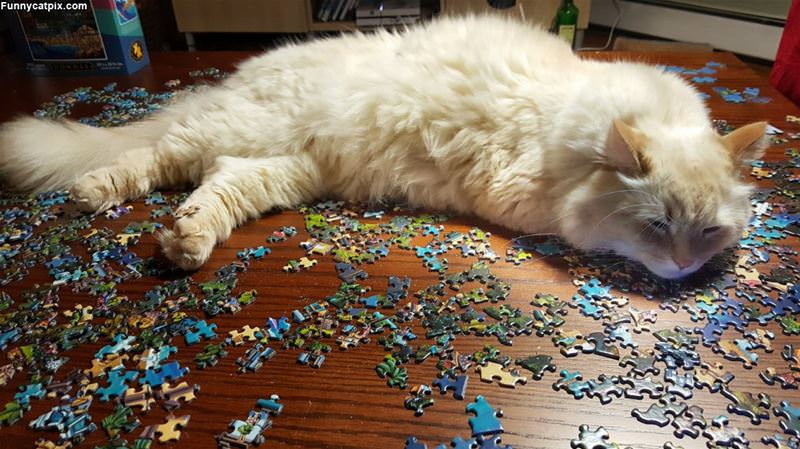 This Puzzle Is Boring