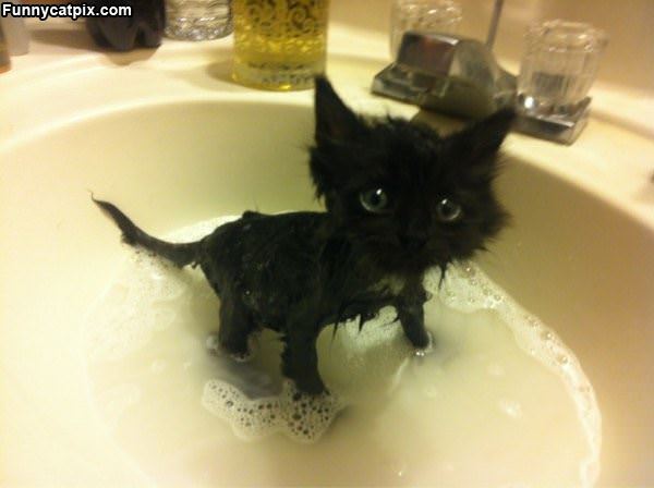 Tiny Bath Time