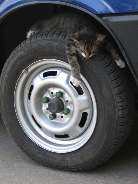 Tire Sleep