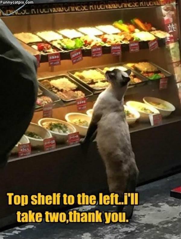 Top Shelf