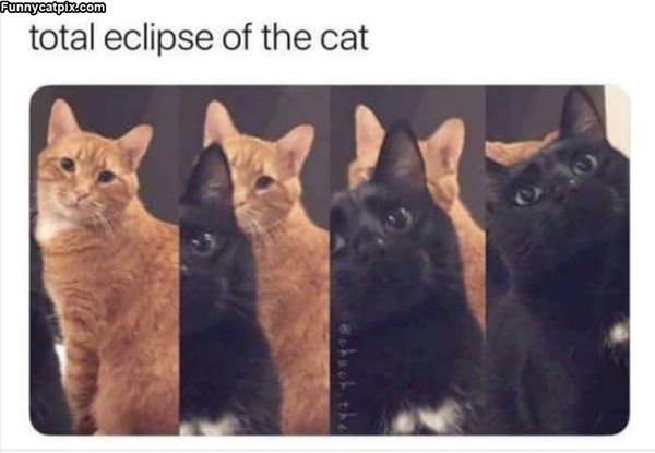 Total Eclipse