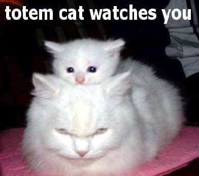 Totem Cat