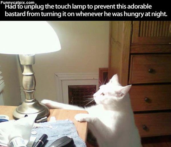 Touch Lamp